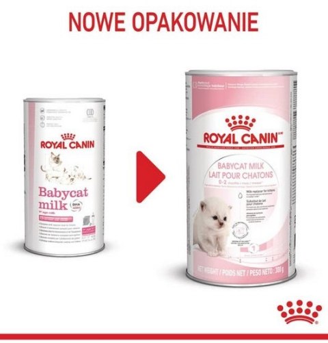 Royal Canin Feline Royal Canin Babycat Milk pełnoporcjowy preparat mlekozastępczy dla kociąt do 2 miesiąca życia 300g