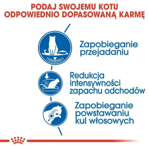 Royal Canin Feline Royal Canin Indoor Appetite Control karma sucha dla kotów dorosłych przebywających w domu, domagających się jedzenia 400g