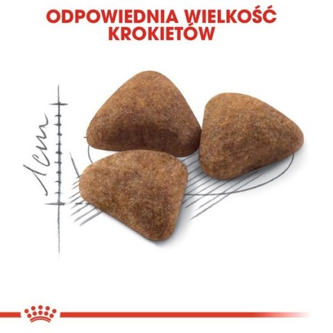 Royal Canin Feline Royal Canin Indoor karma sucha dla kotów dorosłych, przebywających wyłącznie w domu 4kg