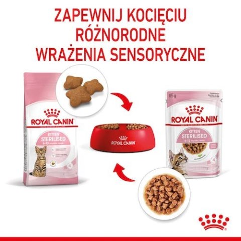 Royal Canin Feline Royal Canin Kitten Sterilised karma mokra w sosie dla kociąt od 6 do 12 miesiąca życia, sterylizowanych saszetka 85g