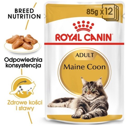 Royal Canin Feline Royal Canin Maine Coon karma mokra w sosie dla kotów dorosłych rasy maine coon saszetka 85g