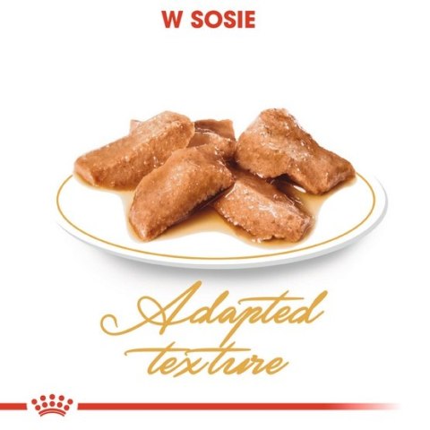 Royal Canin Feline Royal Canin Maine Coon karma mokra w sosie dla kotów dorosłych rasy maine coon saszetka 85g