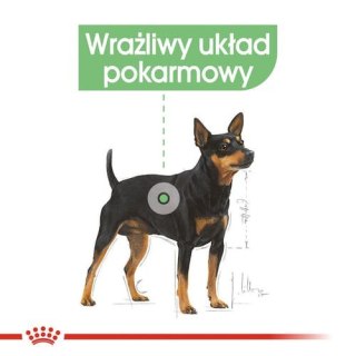 Royal Canin Size Royal Canin Digestive Care karma mokra dla psów dorosłych, wszystkich ras o wrażliwym przewodzie pokarmowym saszetka 85g