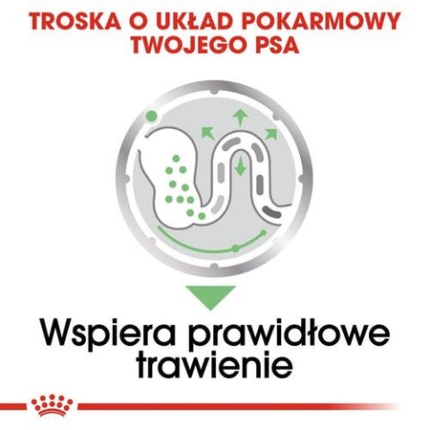 Royal Canin Size Royal Canin Digestive Care karma mokra dla psów dorosłych, wszystkich ras o wrażliwym przewodzie pokarmowym saszetka 85g