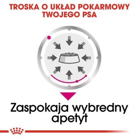 Royal Canin Size Royal Canin Exigent karma mokra dla wybrednych psów dorosłych, wszystkich ras, pasztet saszetka 85g