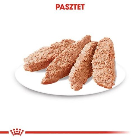 Royal Canin Size Royal Canin Exigent karma mokra dla wybrednych psów dorosłych, wszystkich ras, pasztet saszetka 85g