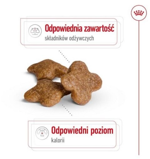 Royal Canin Size Royal Canin Mini Adult 8+ karma sucha dla psów starszych od 8 do 12 roku życia, ras małych 2kg