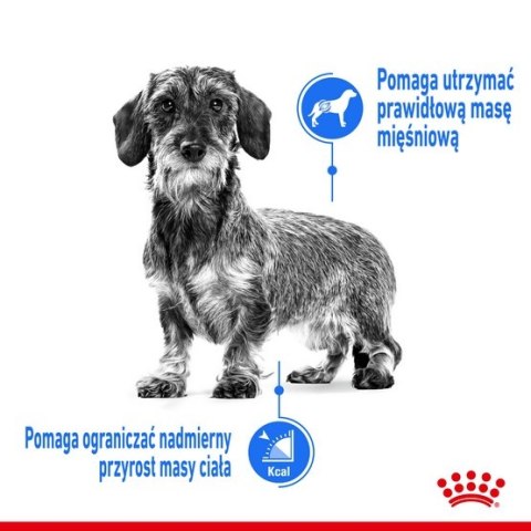 Royal Canin Size Royal Canin Mini Light Weight Care karma sucha dla psów dorosłych, ras małych z tendencją do nadwagi 3kg