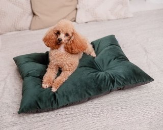 MIMIKO Pets MIMIKO Pets Legowisko Poducha Velvet 70x50cm butelkowa zieleń