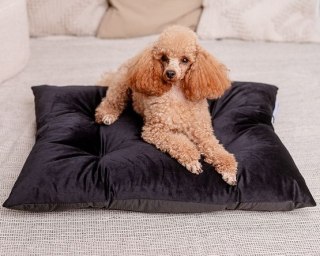 MIMIKO Pets MIMIKO Pets Legowisko Poducha Velvet 70x50cm czarna