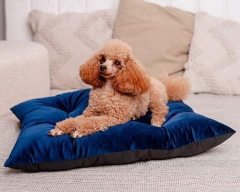 MIMIKO Pets MIMIKO Pets Legowisko Poducha Velvet 70x50cm granat