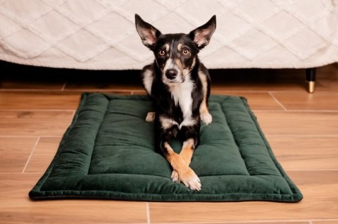 MIMIKO Pets MIMIKO Pets Mata Velvet 100x70cm butelkowa zieleń