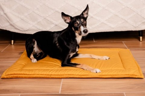 MIMIKO Pets MIMIKO Pets Mata Velvet 100x70cm musztarda