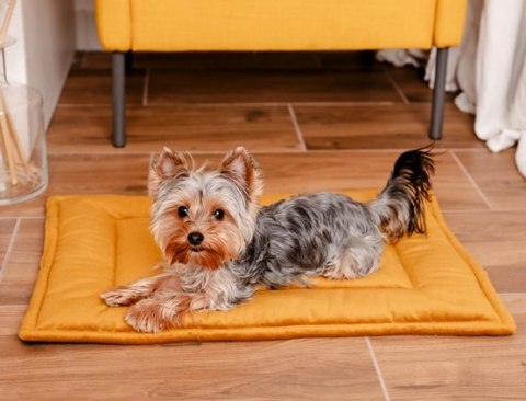 MIMIKO Pets MIMIKO Pets Mata Velvet 70x50cm musztarda