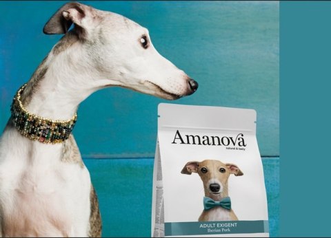 Amanova Amanova Dog Adult Exigent Iberian Pork - wieprzowina 2kg