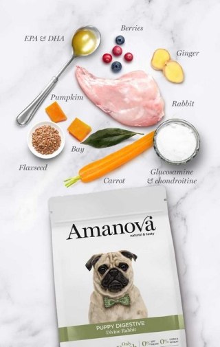 Amanova Amanova Dog Puppy Digestive Divine Rabbit - królik 2kg