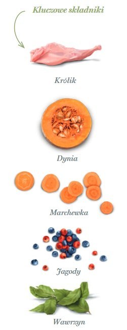 Amanova Amanova Dog Puppy Digestive Divine Rabbit - królik 2kg