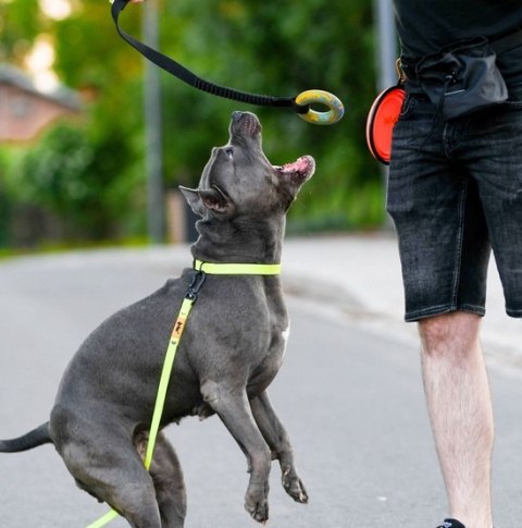 Dingo Dingo Zabawka dla psa - Szarpak Ringo z rączką bungee 10cm
