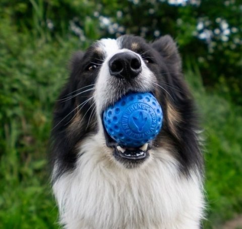 Kiwi Walker Kiwi Walker Let's Play Ball Maxi piłka zielona