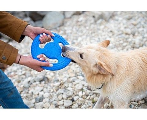 Kiwi Walker Kiwi Walker Let's Play Frisbee Maxi niebieskie