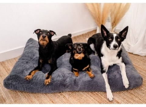 MIMIKO Pets MIMIKO Pets Legowisko Shaggy prostokątne XXL 115x75cm grafitowe