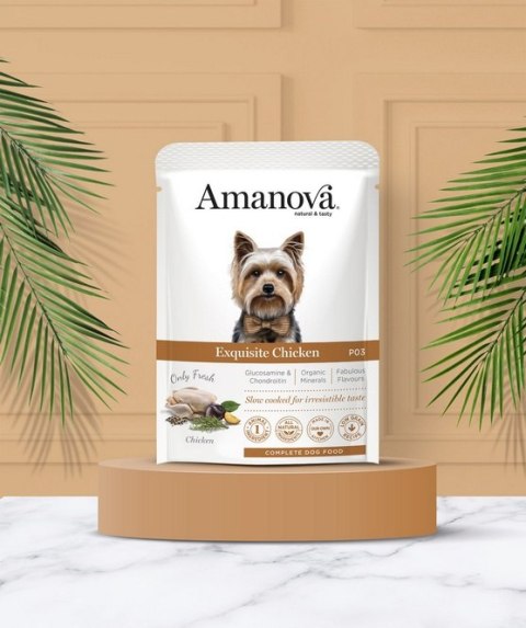 Amanova Amanova Dog Adult Exquisite Chicken - kurczak saszetka 100g [P03]