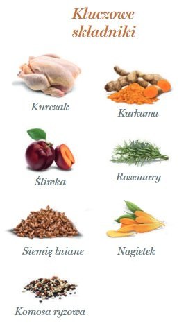 Amanova Amanova Dog Adult Exquisite Chicken - kurczak saszetka 100g [P03]