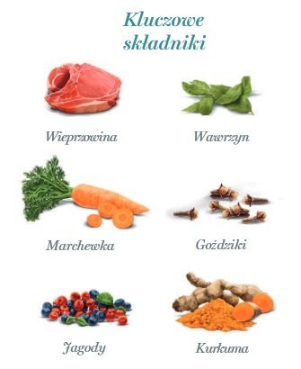Amanova Amanova Dog Adult Iberian Pork - wieprzowina saszetka 100g [P04]