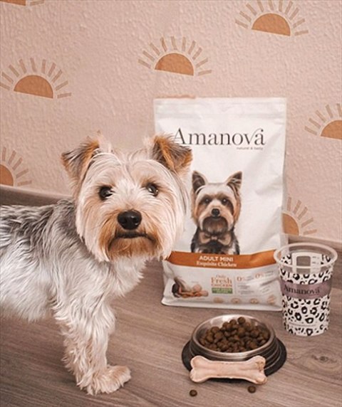 Amanova Amanova Dog Adult Mini Exquisite Chicken - kurczak 7kg