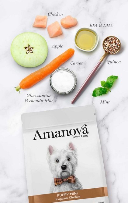 Amanova Amanova Dog Puppy Mini Exquisite Chicken - kurczak 2kg