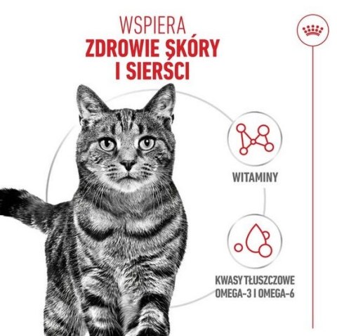 Royal Canin Feline Royal Canin Hair&Skin Care karma sucha dla kotów dorosłych, lśniąca sierść i zdrowa skóra 4kg