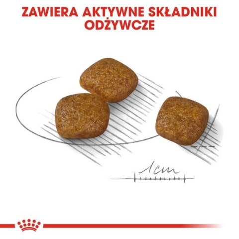 Royal Canin Size Royal Canin Mini Urinary Care karma sucha dla psów dorosłych, ras małych, ochrona dolnych dróg moczowych 3kg