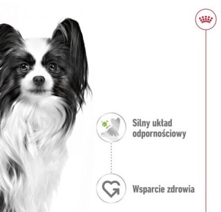 Royal Canin Size Royal Canin X-Small Adult w sosie saszetka 85g