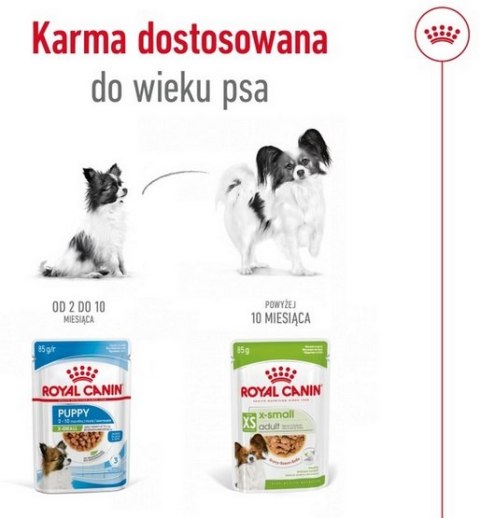 Royal Canin Size Royal Canin X-Small Adult w sosie saszetka 85g