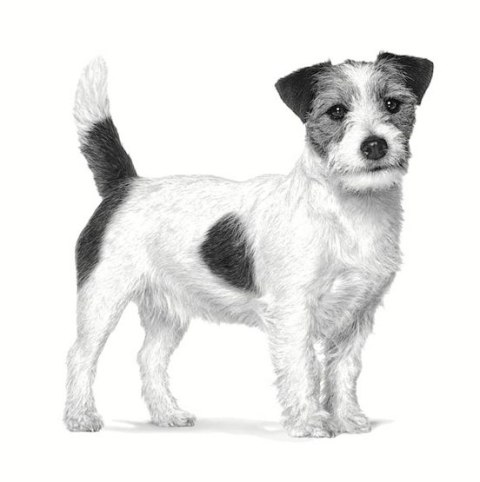 Royal Canin Veterinary Diet Royal Canin Veterinary Diet Canine Anallergenic Small 1,5kg