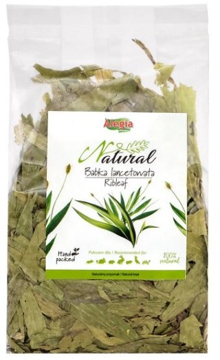 Alegia Alegia Babka lancetowata 100g