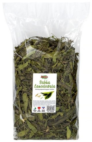 Alegia Alegia Babka lancetowata 300g