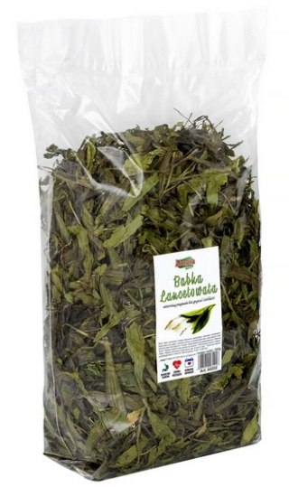 Alegia Alegia Babka lancetowata 300g