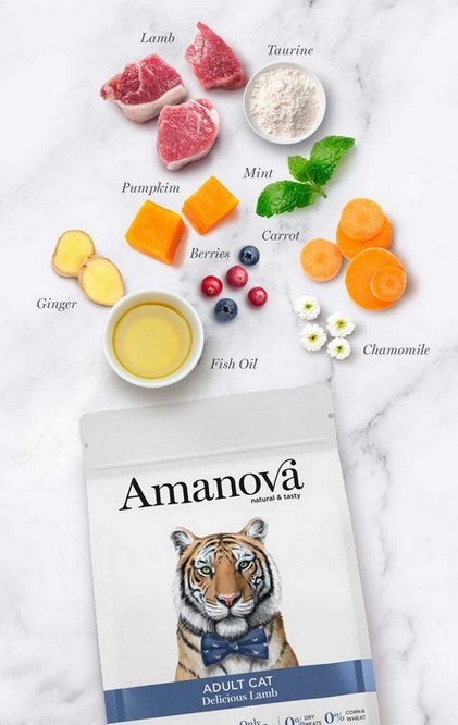 Amanova Amanova Cat Adult Delicious Lamb - jagnięcina 1,5kg