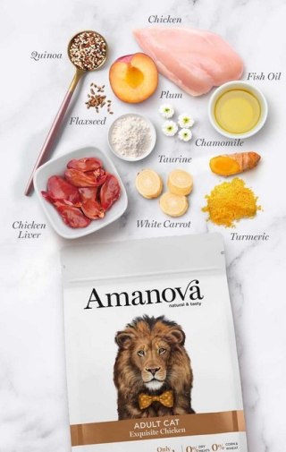 Amanova Amanova Cat Adult Exquisite Chicken - kurczak 6kg