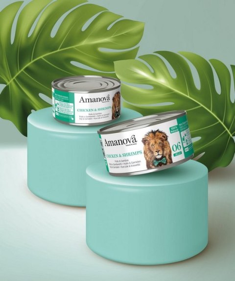 Amanova Amanova Cat Chicken & Shrimps - kurczak i krewetki w galaretce puszka 70g [06]