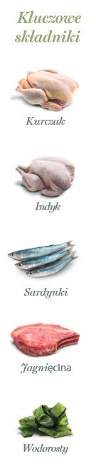 Amanova Amanova Cat Sterilised Lamb & Sardines - jagnięcina i sardynki saszetka 85g [P13]