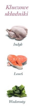 Amanova Amanova Cat Tasty Salmon & Turkey - łosoś i indyk saszetka 85g [P11]