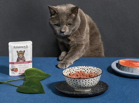 Amanova Amanova Cat Tasty Salmon & Turkey - łosoś i indyk saszetka 85g [P11]