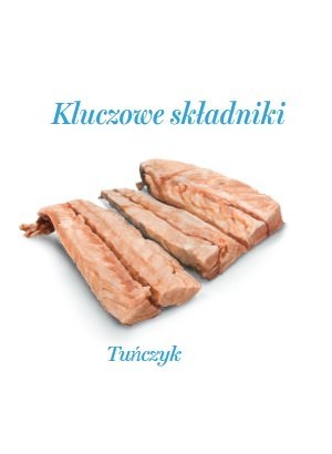 Amanova Amanova Cat Tuna Fillets - tuńczyk w bulionie puszka 70g [07]