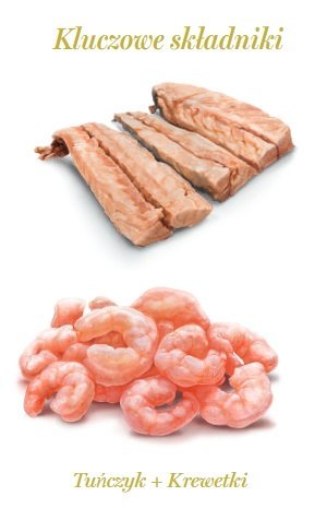 Amanova Amanova Cat Tuna & Shrimps - tuńczyk i krewetki w galaretce puszka 70g [10]