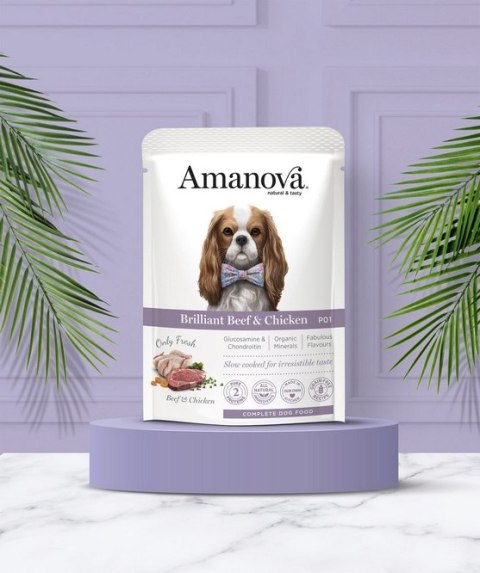 Amanova Amanova Dog Adult Brilliant Beef & Chicken - wołowina i kurczak saszetka 100g [P01]
