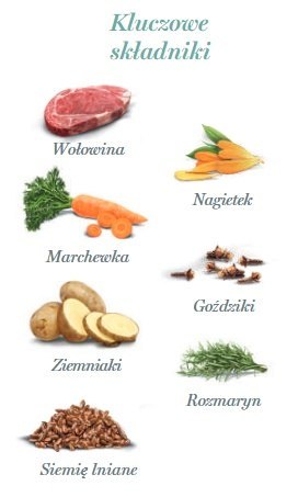 Amanova Amanova Dog Adult Irresistible Beef - wołowina saszetka 100g [P02]
