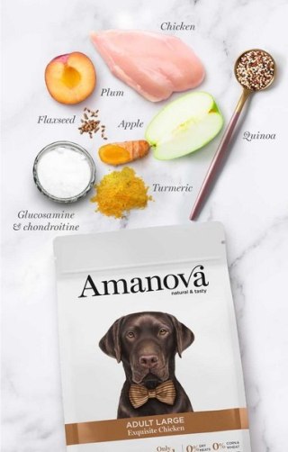 Amanova Amanova Dog Adult Large Exquisite Chicken - kurczak 12kg