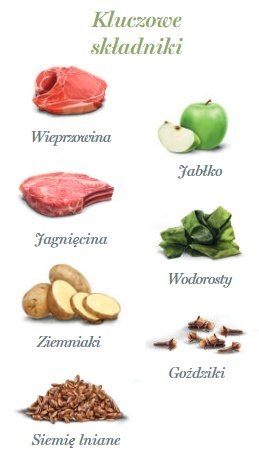 Amanova Amanova Dog Adult Luscious Lamb & Pork - jagnięcina i wieprzowina saszetka 300g [P05]